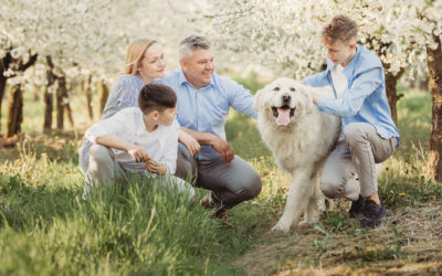 Rodzinna sesja z psem w kwitnącym sadzie- Łańcut